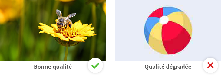 À gauche : une photo en JPEG de bonne qualité ; à droite : un logo en JPEG de qualité dégradée